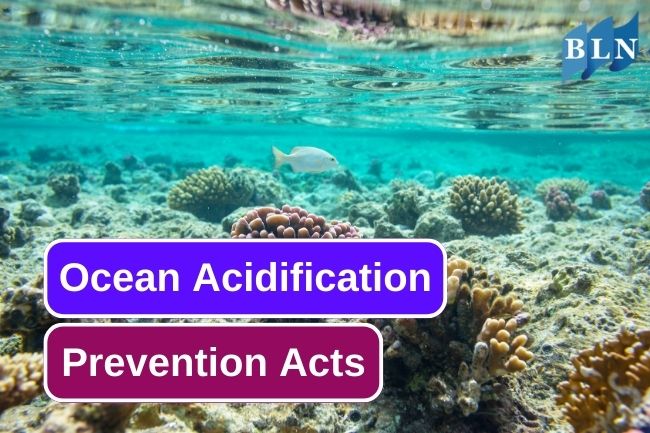 6 Things To Prevent Ocean Acidification